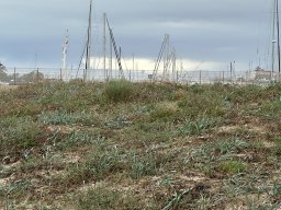 129-26-12-2025 IMG_3298